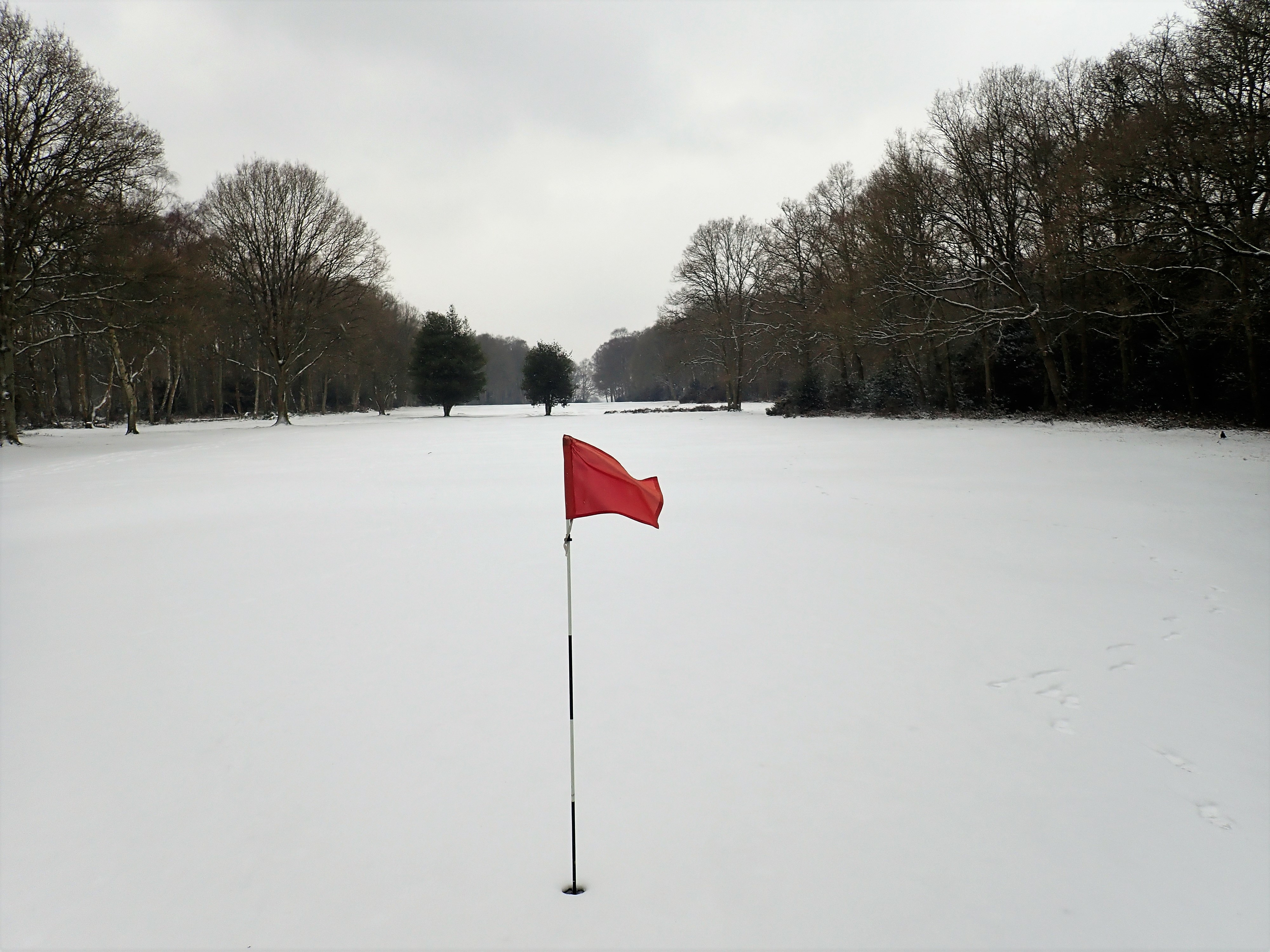 Golf Course in Snow