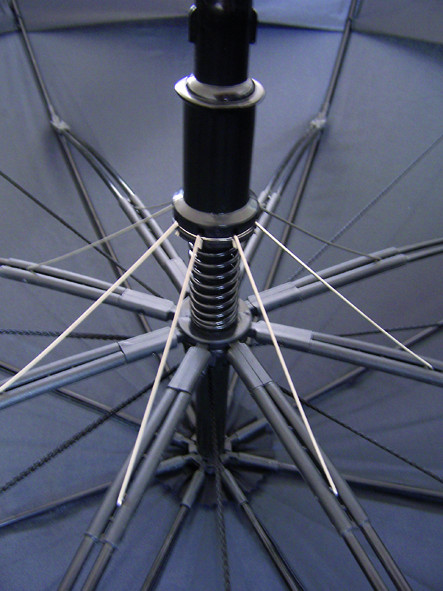 Inside the ProTekt Umbrella