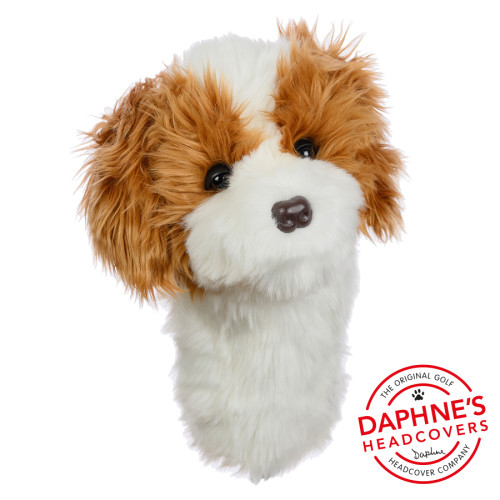 Daphne's Headcovers - Cavapoo