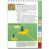 Rules Of Golf Book - Best Seller